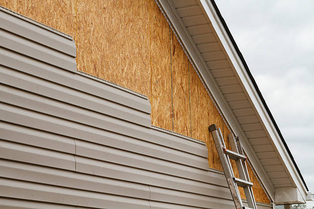 Best Vinyl Siding Installation  in Holyoke, CO